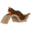 Cat Scratchers & Scratching Posts