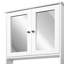 W H Medicine Cabinet Mirror