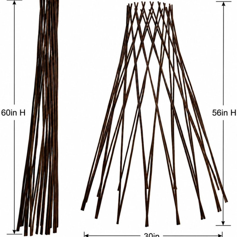 Treillis de saule naturel extensible, 3, 5FT