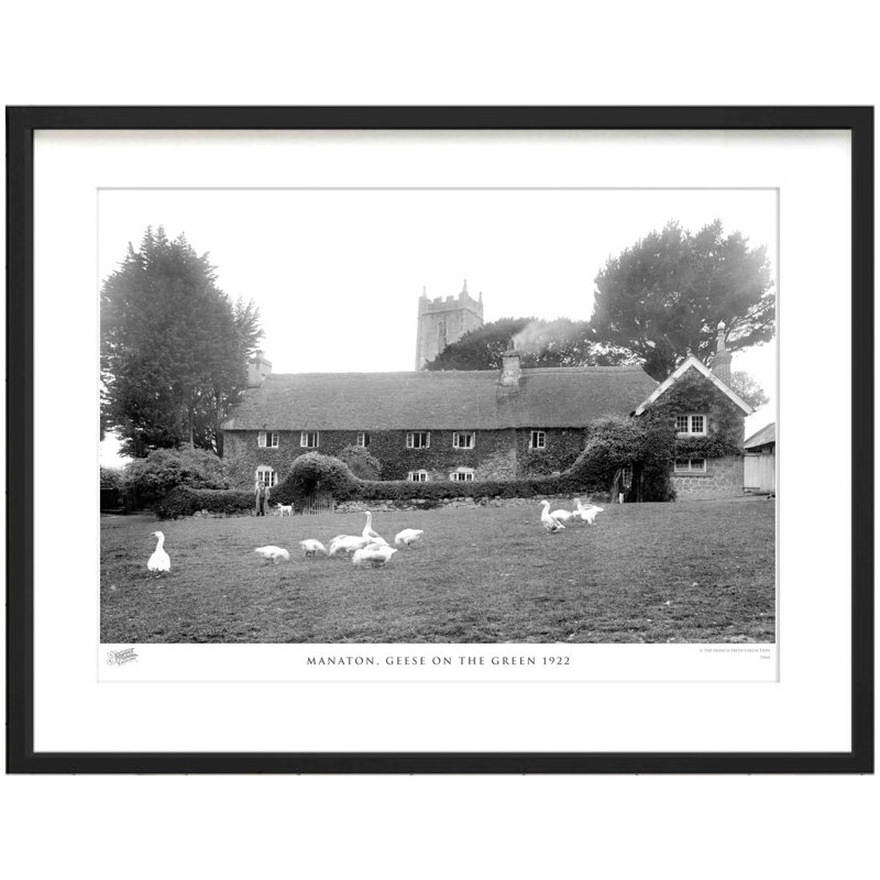 Manaton, Geese On The Green 1922 by Francis Frith - Single Picture Frame Print, 28cm H x 36cm W x 2.3cm D