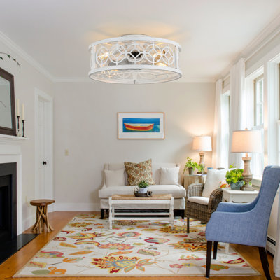 Barney 20" Farmhouse Drum Caged Ceiling Fan with Light Kit and Remote