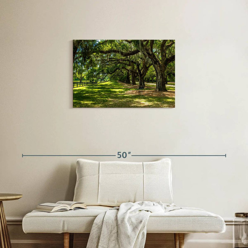 Paysage Harnek Boone Hall, H 20 po x l 30 po