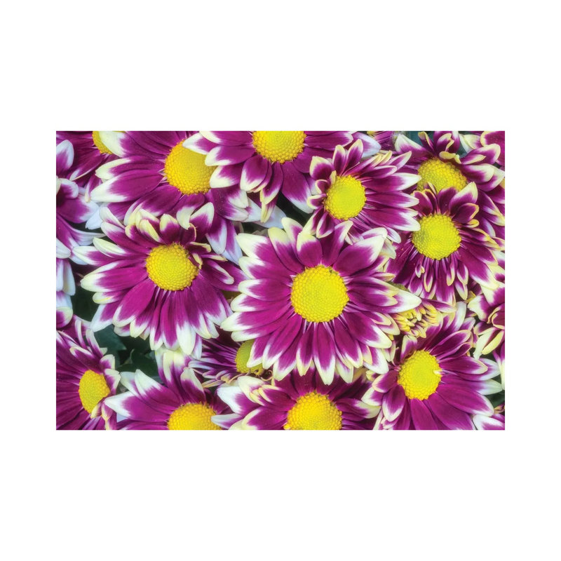 Colourful Flower Background by Glauco Meneghelli - Wrapped Canvas Print, 66.04 cm H x 45.72 cm W