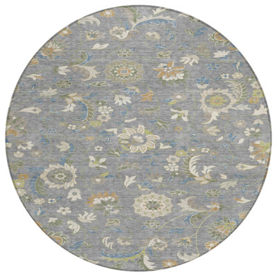 Machine Washable Indoor/Outdoor Chayden ACN1006 Gray Rug