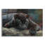 Bungalow Panthère noire 42 par David Stribble, art mural en verre acrylique, 24 po x 16 po-132657550