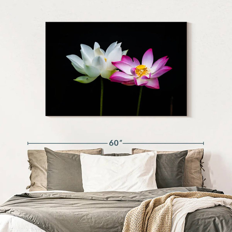 Fleurs de lotus roses et blanches Harnek, H 32 po x l 48 po