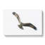 Osprey Bird - Wrapped Canvas-56634390
