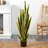 Sansevieria Artificial Plant-1037996432