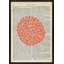 Pet-Peu Print by Michela Sorrentino-1426748033-1426748047