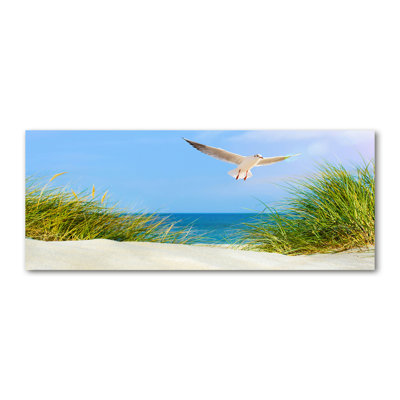 Seagull On Canvas The Beach - Wrapped Canvas Print