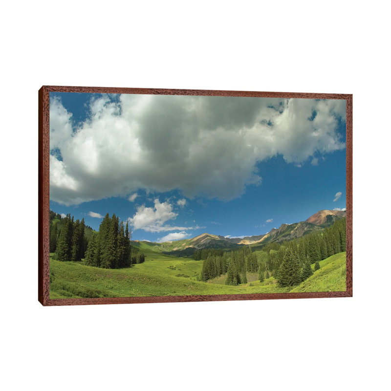 Stand Of Conifers In The Elk Mountains Near Crested Butte, Colorado by Tim Fitzharris - Floater Frame Gallery-Wrapped Canvas Giclée on Canvas