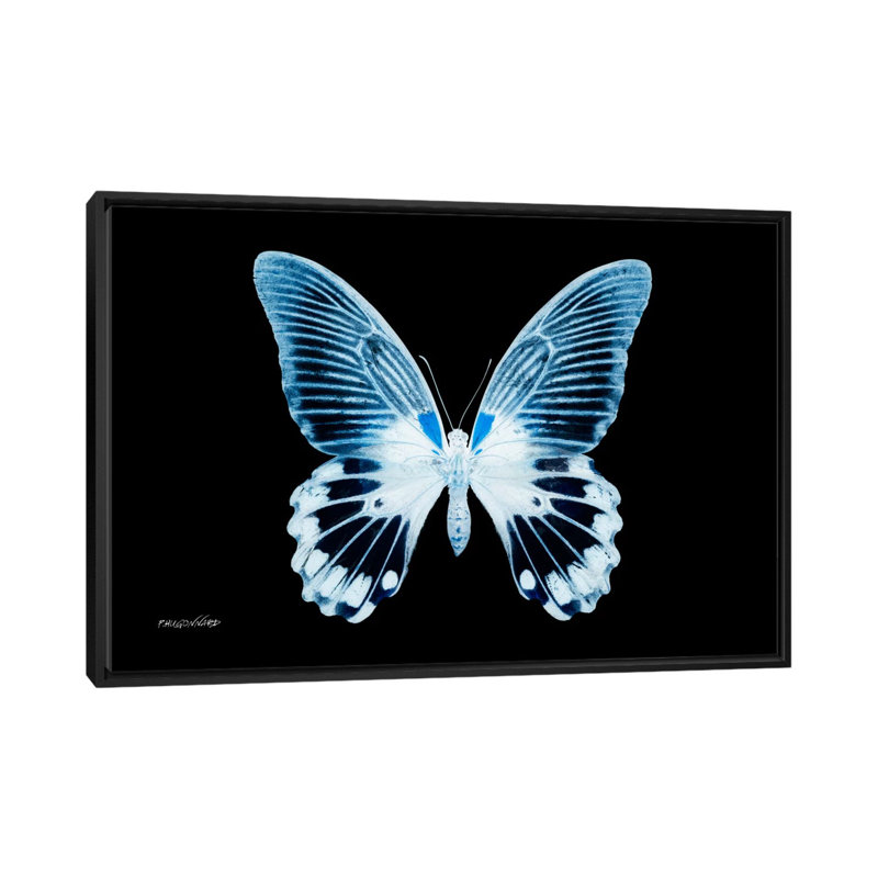 « misse ray x i », impression sur toile, H 18 po x l 26 po x P 1,5 po, Toile avec cadre noir