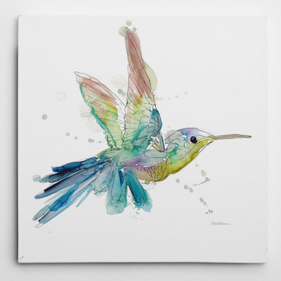 Sketchbook Hummingbird - Print on Canvas