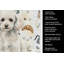 Serviette de cuisine Coffee Bar-1234934317