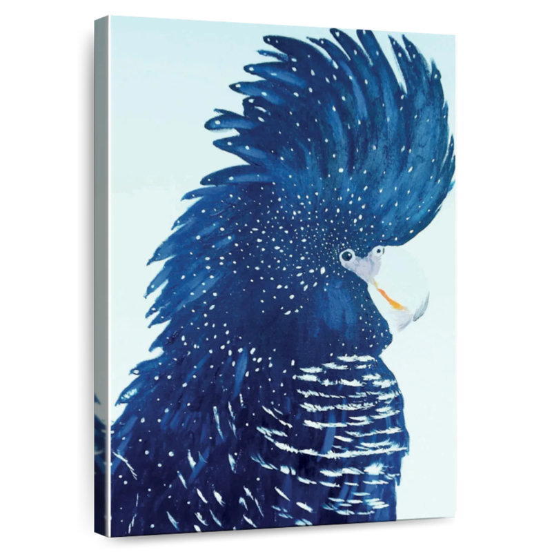 Brampt Pablo The Black Cockatoo, 24" H x 16" W