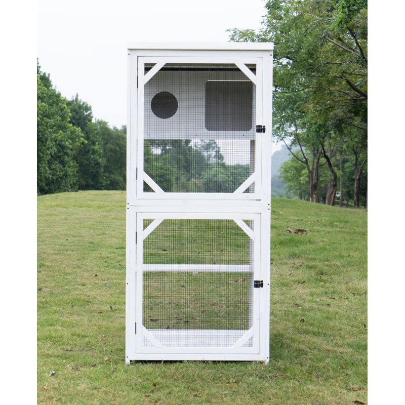 Modern Indoor / Outdoor Cat Habitat
