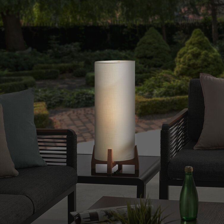 Anshita 25'' Battery Powered Integrated LED Outdoor Table Lamp