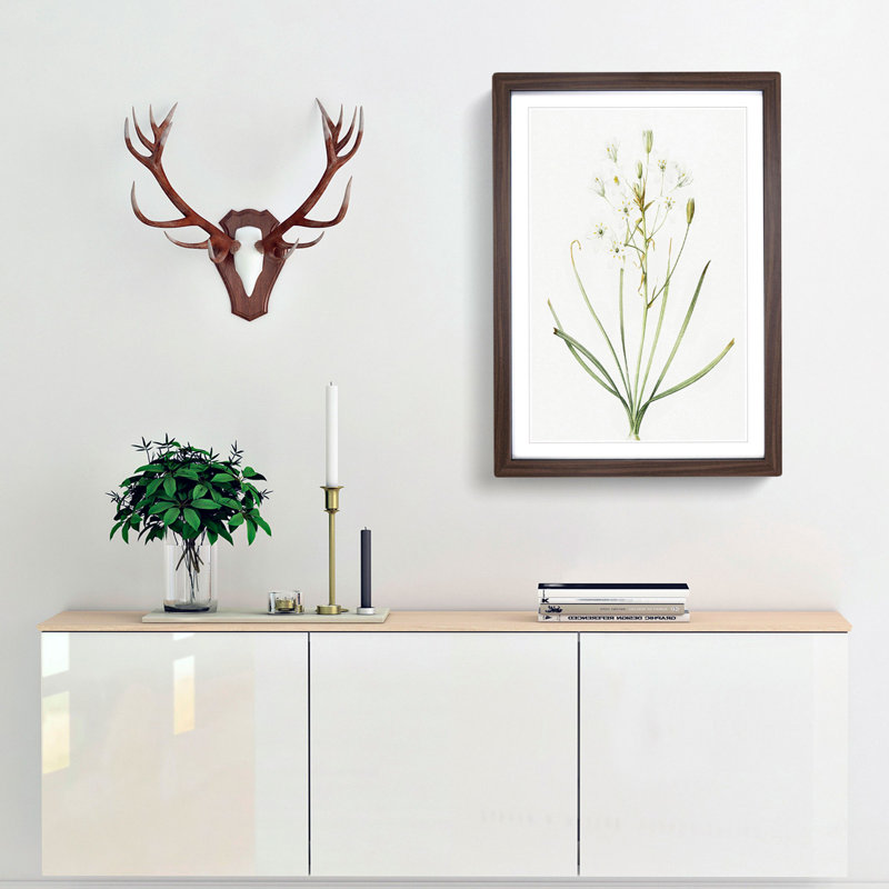 Ornithogalum Flowers by Pierre-Joseph Redoute - Picture Frame Painting Print, 65cm H x 48cm W x 2cm D, Walnut Framed