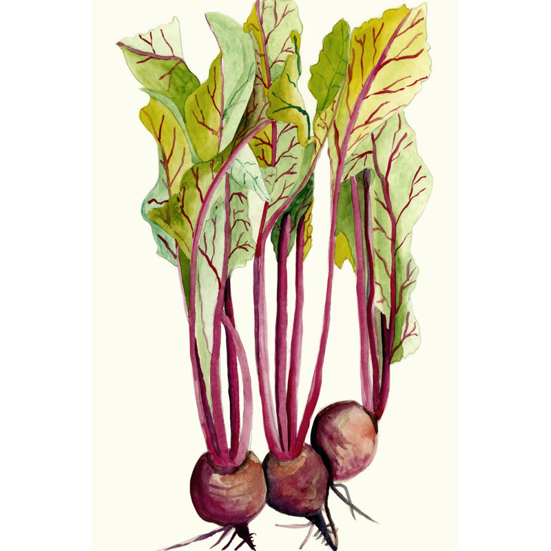 Early Harvest II, 46cm H x 30cm W x 3.8cm D