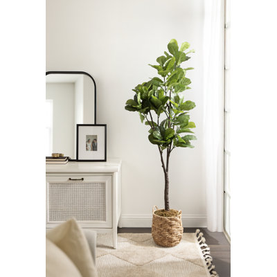 Fidmont Faux Fiddle Fig Tree with Livia Woven Basket