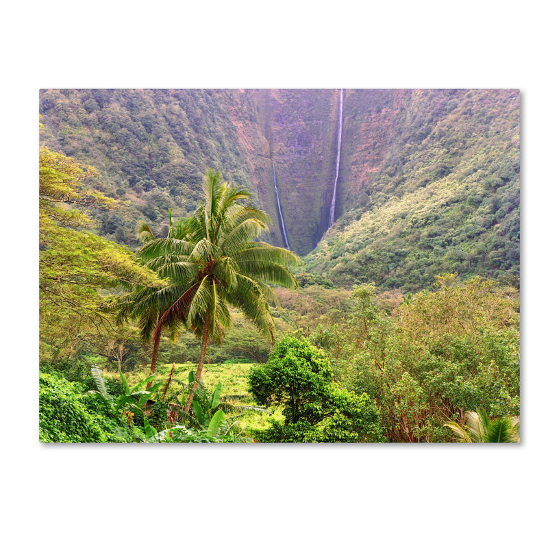 Alexan «Waipio Valley», reproduction de photo sur toile tendue, H 35 po x l 47 po