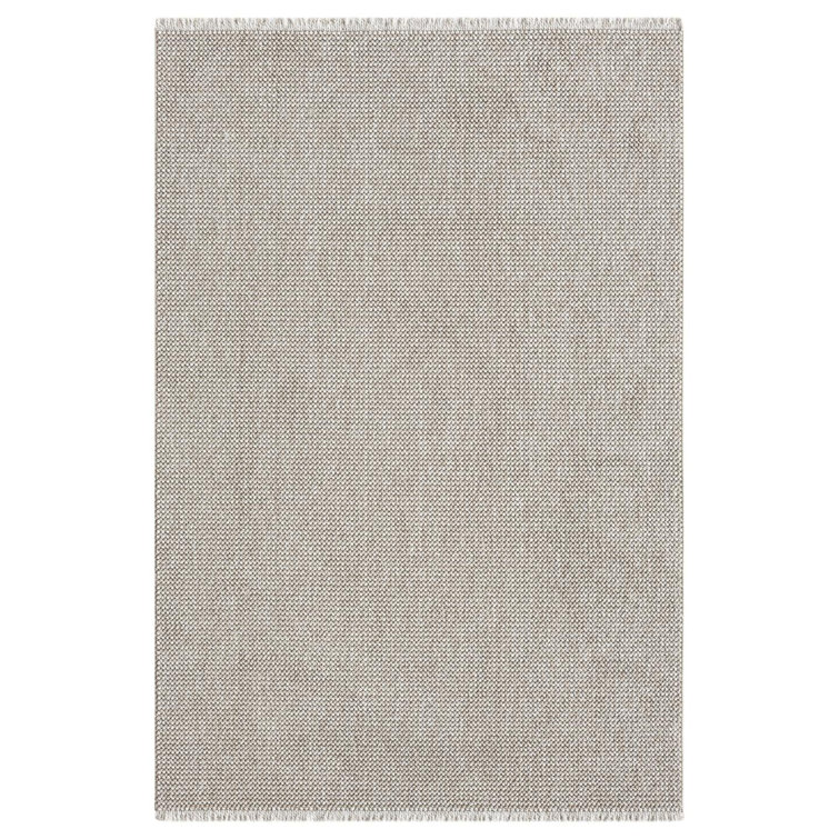 Textured Fringed Area Rug