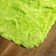 Tapis vert lime Plush