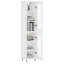 Storage Cabinet