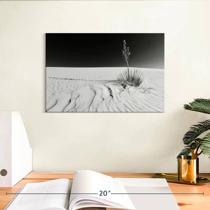 Alvord White Sands Impression monochrome, H 8 po x l 12 po