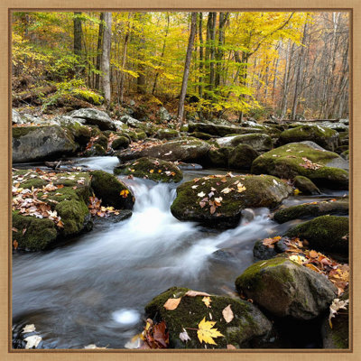 «Autumn Rush» par Danny Head, reproduction d'art sur toile encadrée