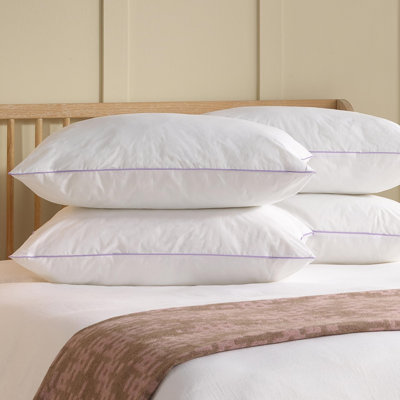 Sahima L74 x W48cm Support Pillow