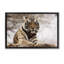«Strong Tiger Atop Hill» par Danita Delimont-597924079-597924072