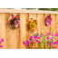 Jeu de jardin fleur Dexter