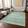 Machine Washable Indoor/Outdoor Cinead ACN1658 Aloe Rug