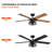 Rish 52'' Ceiling Fan with Light Kit-210925623