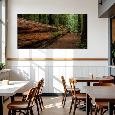 Canvas Wall Art dyerville giant humboldt redwoods state park ca redwood forest Wall Decor for Living Room Bathroom Bedroom Office 24"H x 48"W Art Paintings, Ready to Hang
