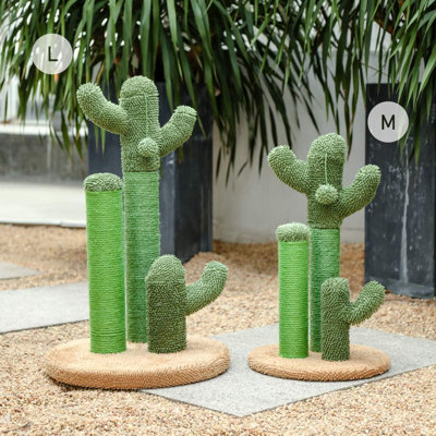 Grattoir route avec griffoir et cactus