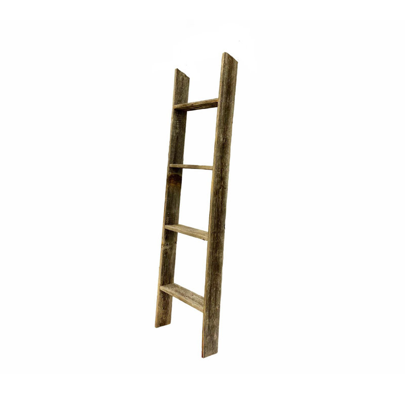 Étagère échelle en bois Orla, (4 tablettes) H 48 po x l 13 po x P 4 po, Gris