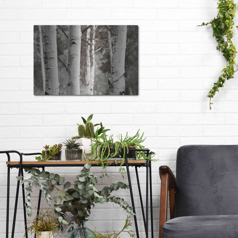 "Aspens IV" par Debra Van Swearingen, H 12 po x l 16 po