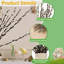 20 branches préservées de saule séché avec des fleurs blanches, des tiges florales naturelles pour les arrangements de vase et la décoration intérieure