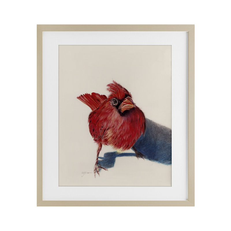 Oiseau cardinal debout encadré sous verre, conception par Cady, H 16 po x l 13 po, Cadre de récolte en pin