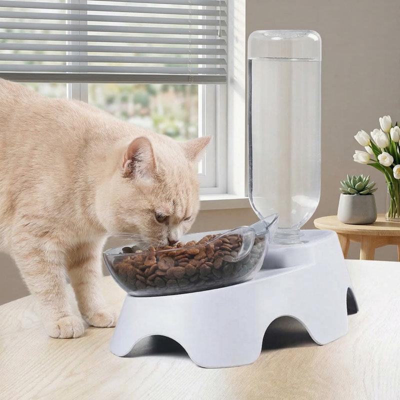 Ensemble de bols inclinés 15 ° pour animaux et nourriture avec abreuvoir automatique pour petits / moyens chiens et chats