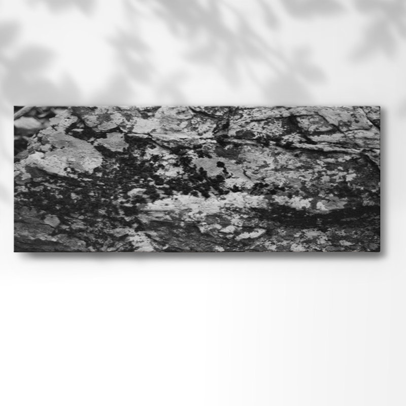 Found Textures Xx sur toile, H 20 po x l 50 po x P 1,5 po