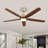 Ceiling Fan With Remote Control-10943045