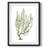 Desert Rose Valley I -Gallery Wrapped Canvas