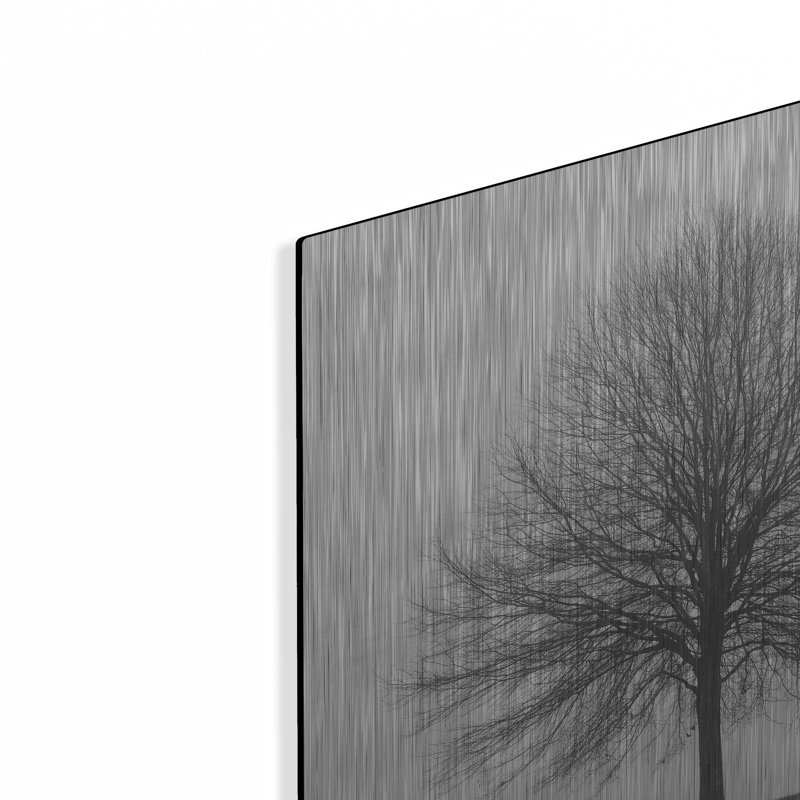  «Winter Trio I» par Nicholas Bell, photographie, art mural en métal, 24 po x 24 po, H 12 po x l 12 po