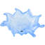 Glass Decorative Bowl