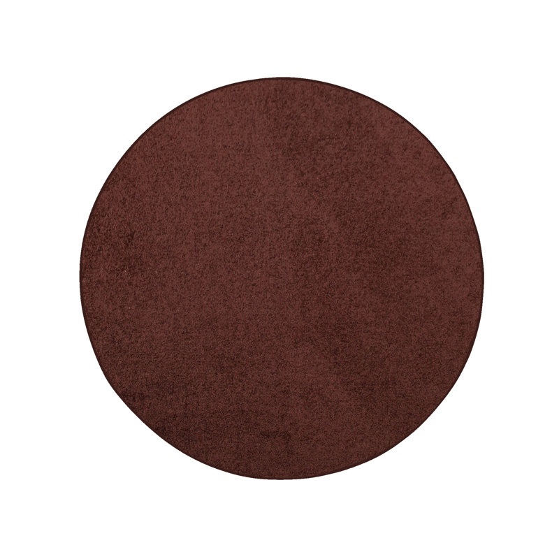 Modern Plush Pet and Kids Friendly Solid Color Chocolate Area Rugs, Stain & Fade Resistance, Perfect for Living Room, Dining Room, Bedroom, Playroom and Kidsroom, Event, Wedding, Amberjo Rug