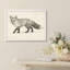 Minimal Fox Sketch Framed Wall Art Prints - Black and white fox, for office-125211896-125211899