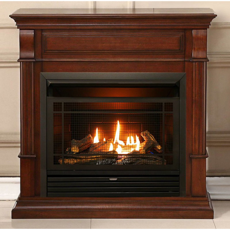 Zellmer 44'' W Ventless Fireplace, Auburn Cherry